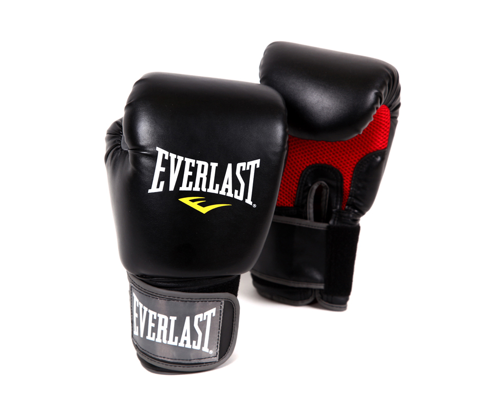 Everlast pro style boxing gloves online